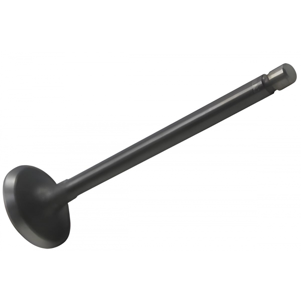 Valvula De Admissao Do Motor Da Towner Hafei 2008 A 2012 - [BAC80459]