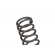 Mola De Apoio Da Trizeta Peugeot 106, 205, 206, 307, 405, Citroen C3, C4, Picasso - [BAC82995]