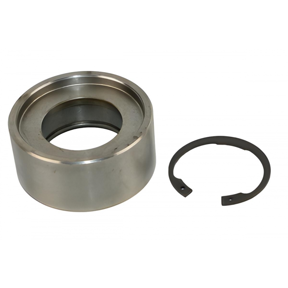 Polia Do Ar Condicionado Da F1000 Mwm X10 Turbo 1996 A 1998 - [BAC70412]
