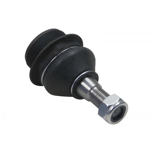 Pivô Inferior Da Suspensao Dianteira Lado Direito Master 2013 A 2018 - [BAC81978]