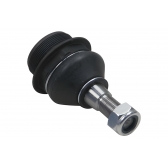 Pivô Inferior Da Suspensao Dianteira Lado Direito Master 2013 A 2018 - [BAC81978]