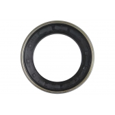 Retentor Do Pinhão Traseiro Da Daily 3510 2000 A 2007 - [BAC47109]