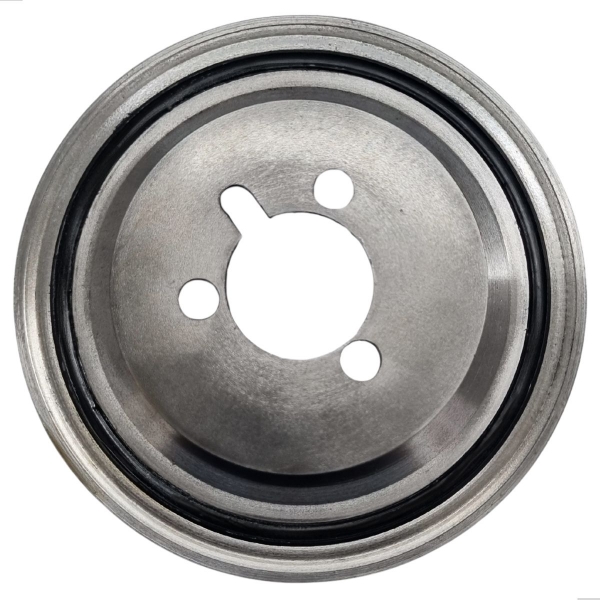 Polia do Virabrequim Peugeot  206, 207, 307, Citroen C3, C4, Xsara, Picasso 1.6 16v 98 a 2014 - [BAC40908]