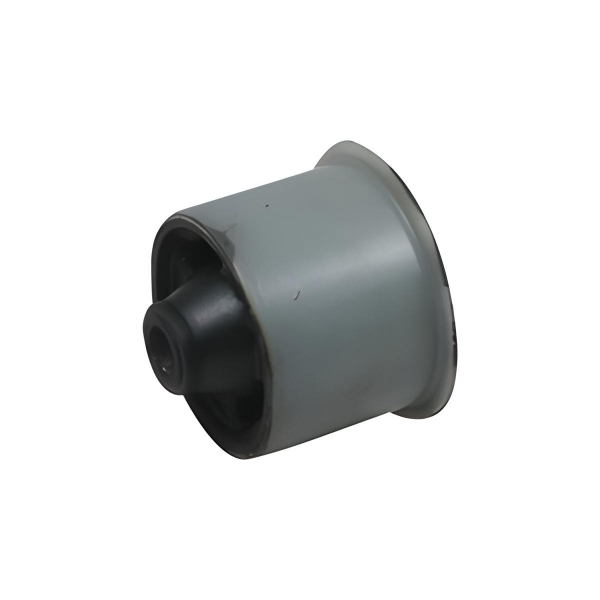 Bucha Do Eixo Traseiro Do C3 - [BAC70494]