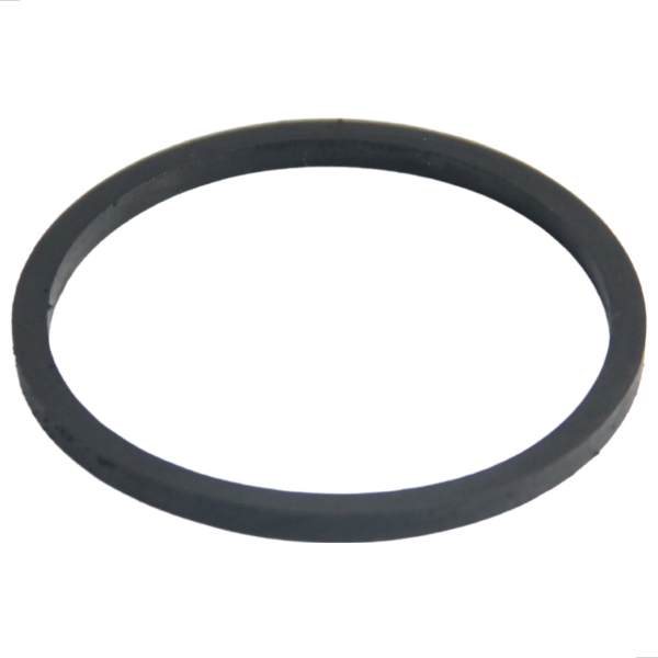 Reparo Do Pistão Da Pinca Do Freio Dianteiro Da Frontier 2.5 16V 2007 A 2012 - [BAC80572]