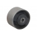 Refil Do Coxim Do Câmbio Do Citroen Xsara, Picasso, Berlingo Peugeot 106, 205, 306, 405, Partner 93 A 2004 - [BAC13102]
