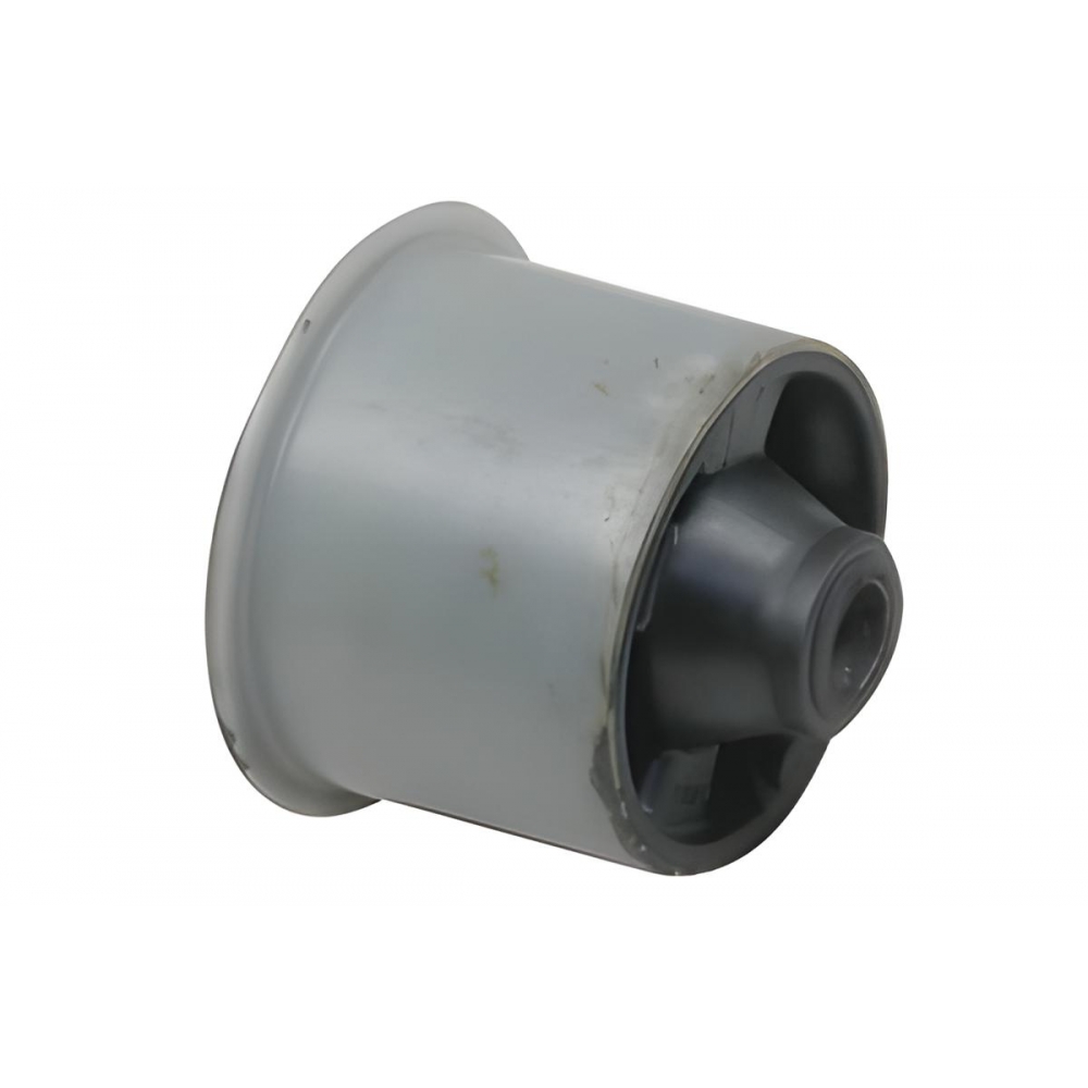 Bucha Do Eixo Traseiro Do C3 - [BAC70494]