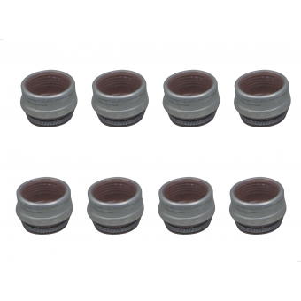 Retentor Da Haste De Valvulas Do Megane, Scenic 2.0 8V 96 A 2006 - [BAC46075]