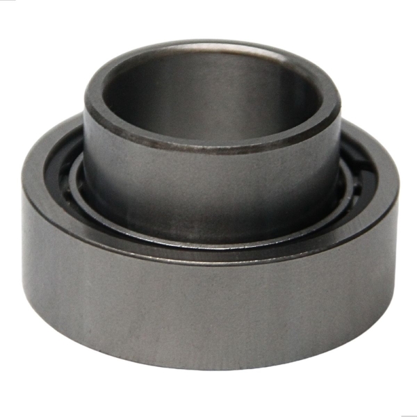 Rolamento Da Roda Traseira Bandeirante 1994 A 2007 - [BAC11881]