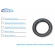 Retentor Da Roda Traseira Da F250 1999 A 2012 - [BAC47122]