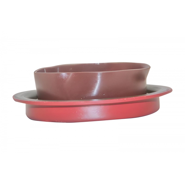 Retentor Lateral Diferencial Da Ecosport 4X4 2003 A 2008 - [BAC81109]