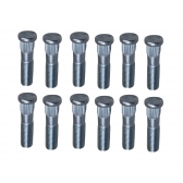 Jogo Com 12 Parafusos Sem Porca Roda Ranger 2013 A 2019 - [ML11766(X12)] - BAC11766NA(X12)