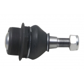 Pivô Inferior Da Suspensao Dianteira Lado Direito Master 2013 A 2018 - [BAC81978]