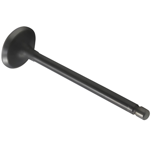 Valvula De Admissao Do Motor Da Towner Hafei 2008 A 2012 - [BAC80459]