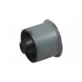 Bucha Do Eixo Traseiro Do C3 - [BAC70494]