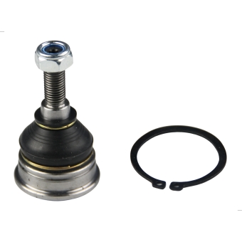 Pivô Superior Da Amarok 2010 A 2018 - [BAC80782]