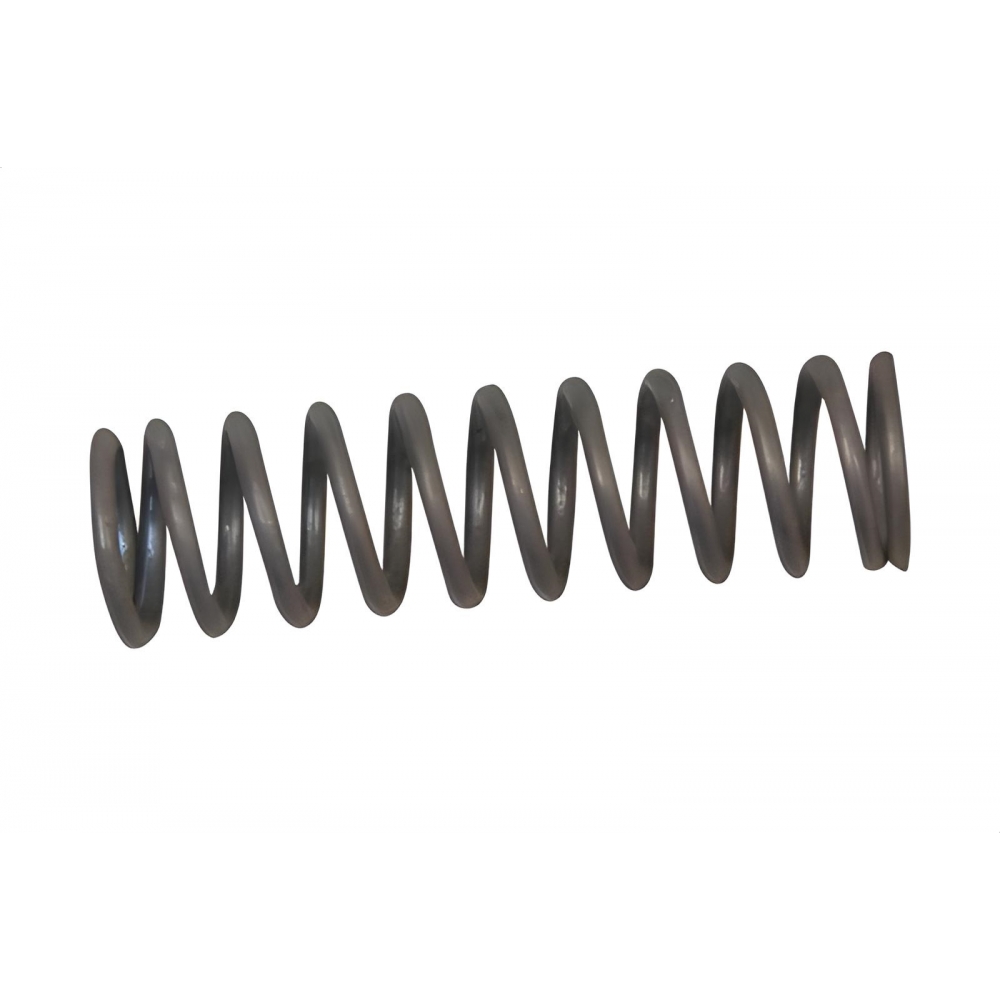 Mola De Apoio Da Trizeta Peugeot 106, 205, 206, 307, 405, Citroen C3, C4, Picasso - [BAC82995]