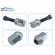 Kit 6 Parafusos Com Porcas Roda L200 Outdoor 2010 2011 - [ML70096(X6)] - BAC70096NA(X6)