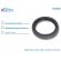 Retentor Externo Roda Traseira Da L200 Gl 1997 A 2007 - [BAC46098]