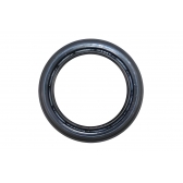 Retentor Da Roda Traseira Da F250 1999 A 2012 - [BAC47122]